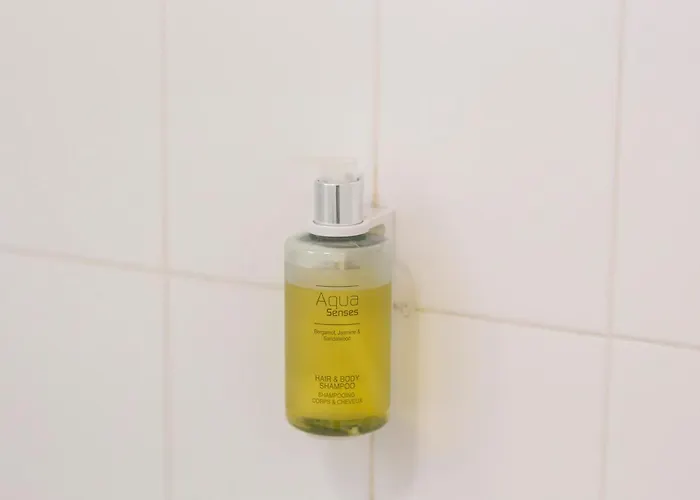 オテル パラディ 4* ルルド